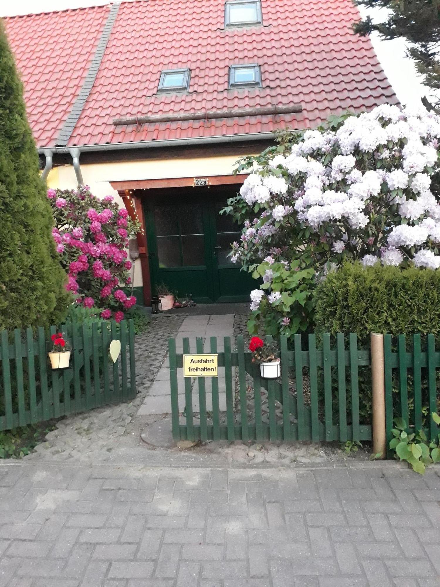 Harzglück Villa Thale Dış mekan fotoğraf